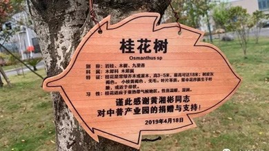 “種”希望！綠化中普，共建美麗家園